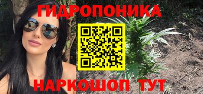 PSILOCYBIN Кунгур