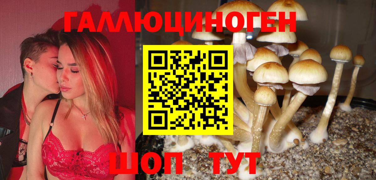 Галлюциногенные грибы мухоморы  где можно купить наркотик  Карачаевск  Галлюциногенные грибы MAGIC MUSHROOMS  Вход с VPN 